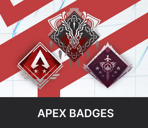 Various Badges Boost | (Choose the Badge you need)